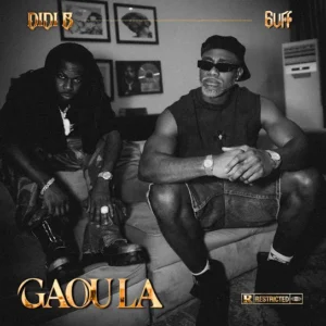 Didi B - Gaou la