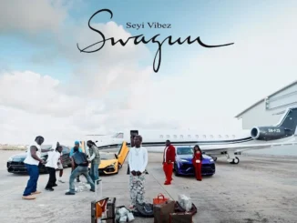 Seyi Vibez - SWAGUU (Album)