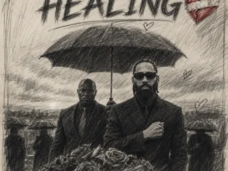 Phyno - Healing