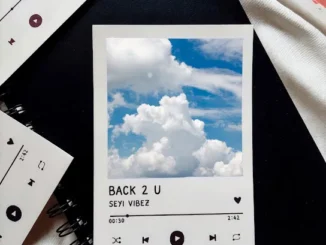 Seyi Vibez - BACK 2 U