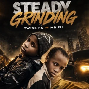 TWINS FX